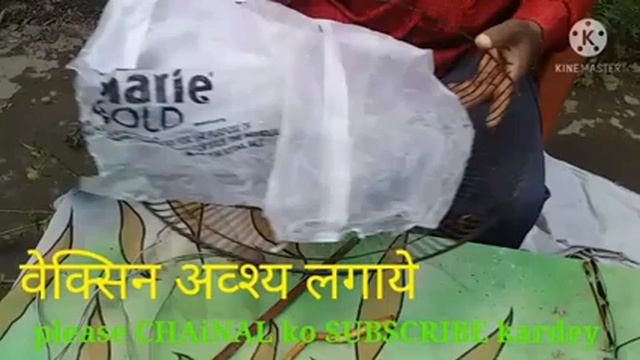 गुरहल पौधा से बोनसाई कैसे बनायें How to create the hibiscus plant bonsai #snshiksha смотреть онлайн