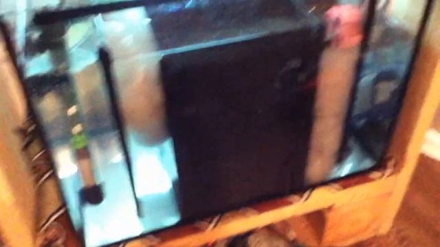 Попытка получить живую дафнию из заморозки. (1) смотреть онлайн