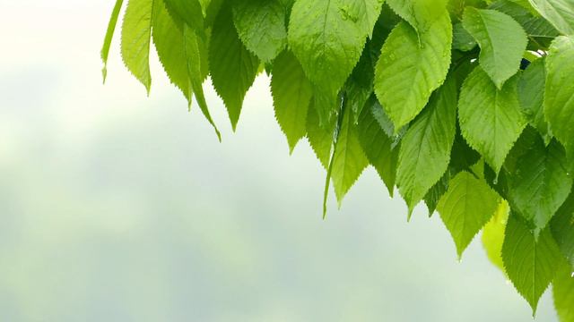 Красивая музыка завораживает душу. Тебе с любовью ! смотреть онлайн