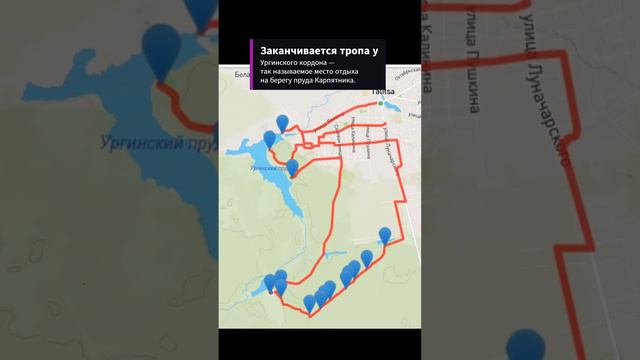 Выходные в нацпарке «Припышминские боры»: эко-тропа «В гостях у леса», Ургинский пруд, Карпятник смотреть онлайн