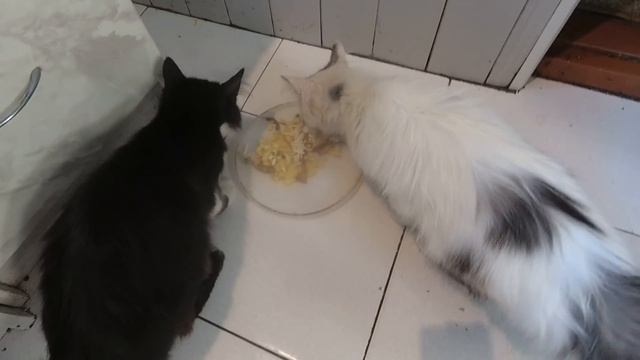 Ленивая лапша за 5 минут! Клёцки со шкварками! смотреть онлайн