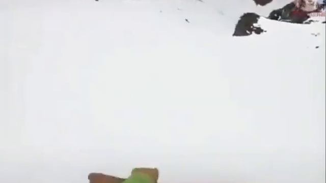 Персик ты куда ? смотреть онлайн