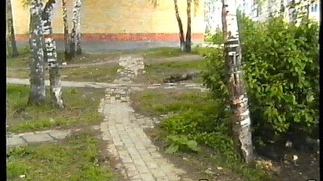 Район Супермаркета. Тобольск 4.06.2002. смотреть онлайн