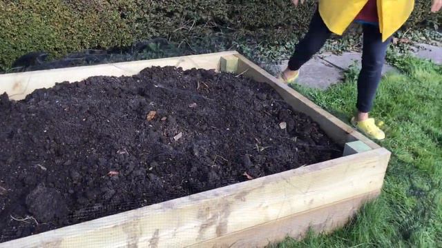 Gloria's planting tips