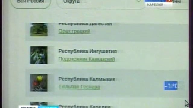 «Аллея России»: Карельская берёза - символ нашей республики смотреть онлайн