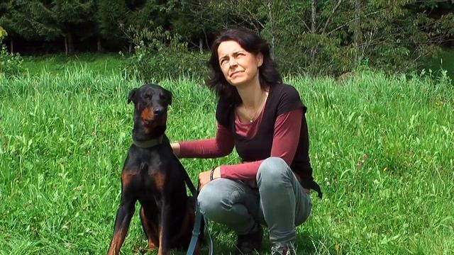 Justin Dobermann