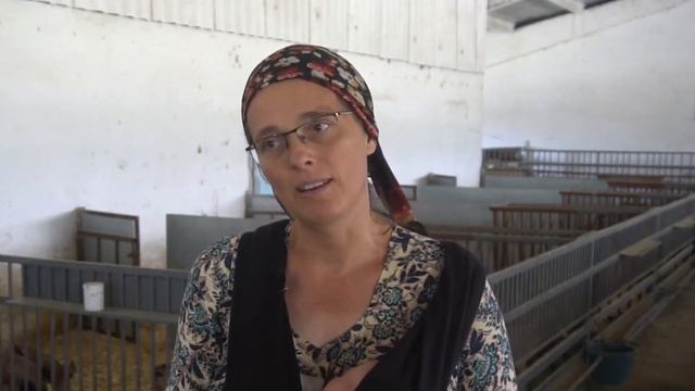 Проблемы воды и адаптации к изменению климата. смотреть онлайн