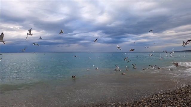 ?ПОСМОТРИТЕ НА ЧАЕК И НА УХОДЯЩИЙ В ДАЛЬ ПОЕЗД... СОЧИ ЛАЗАРЕВСКОЕ смотреть онлайн