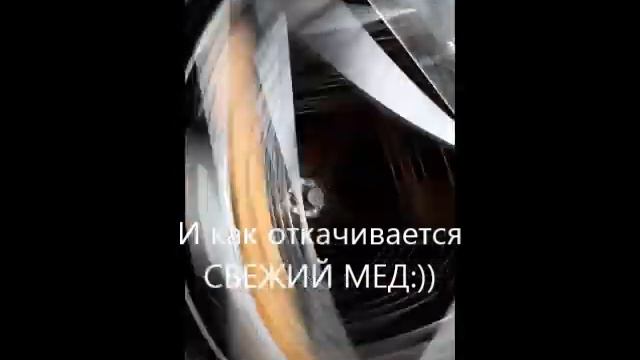Откачка меда 2019 смотреть онлайн
