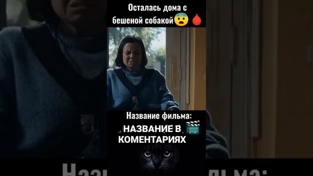 🎬 КОД ФИЛЬМА: № 22 - Ссылка на телеграм с названиями фильмов в первом комментарии #фильмы #кино смотреть онлайн