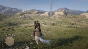 Red Dead Redemption 2 где найти черно белые пейт хорс