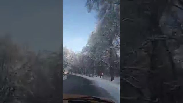 тетри-цкаро 13.12.2020год.