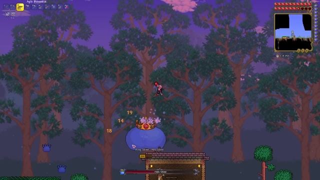Terraria development has returned смотреть онлайн