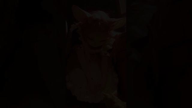 Мышки - малышки