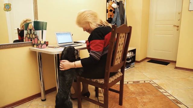 Für Elise Piano version смотреть онлайн