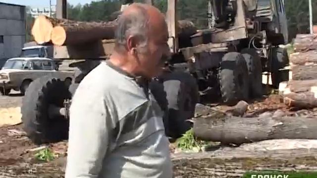 РУБКА СОСЕН смотреть онлайн