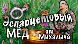 Эспарцетовый мед от Михалыча