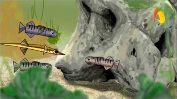 Kvadrat hayvonchalar (Baliqcha GENRI)