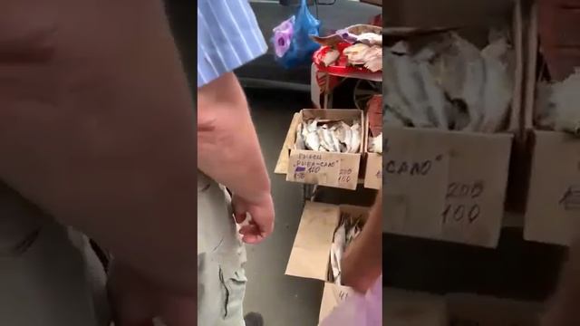 Кому рыбки вяленой! В Волге пойманной!#саратов смотреть онлайн