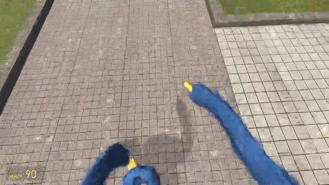 Gmod Project Playtime Huggy Nextbot in First-person смотреть онлайн
