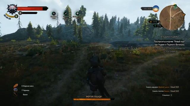 Прохождение The Witcher 3: Wild Hunt Мастер арены и эхидна # 68 смотреть онлайн