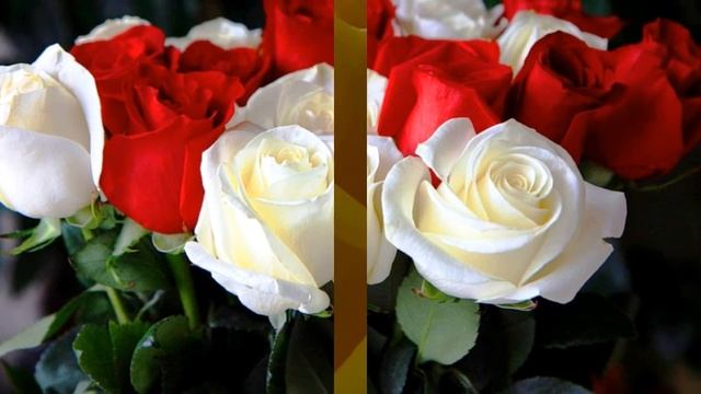 Не рви цветы завянут они