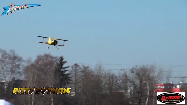 Quick Re-View Dynam's Pitts Python EPO смотреть онлайн