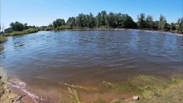 ЩУКА,ОКУНЬ,ЯЗЬ ЗДОРОВЕННЫЙ.РЫБАЛКА НА ШЛЮЗЕ... смотреть онлайн