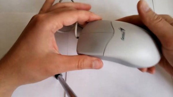 Шариковая механическая мышка Genius EasyMouse Pro PS2.