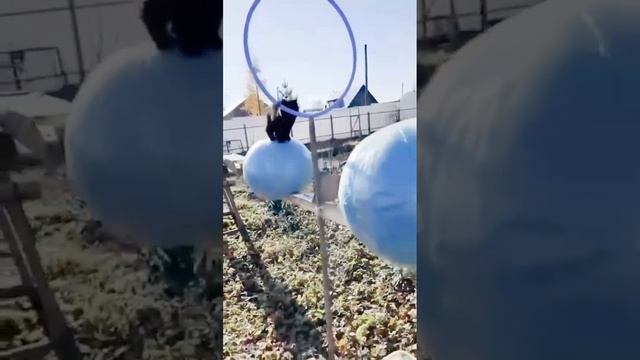 Семейный бриллиант