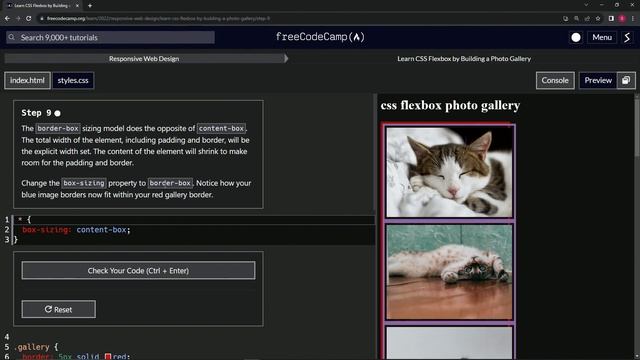 FreeCodeCamp | Learn CSS Flexbox by Building a Photo Gallery: Step 9 | Responsive Web Design смотреть онлайн
