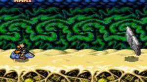 Battletoads in Battlemaniacs (SNES)
