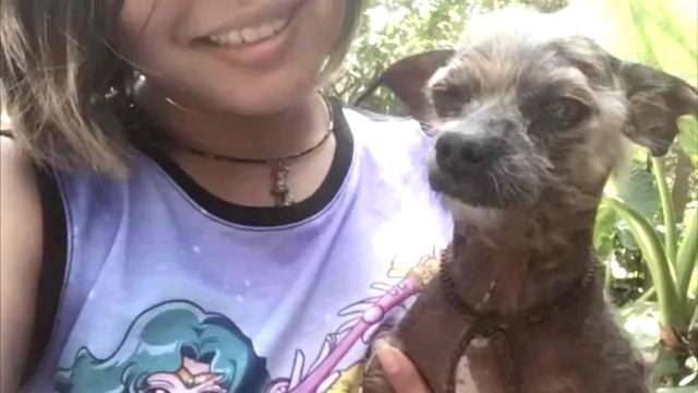 Ветеринарные врачи предложили усыпить щенка, которому были не в состоянии помочь