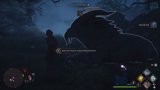 Hogwarts Legacy - Helping find a missing injured Unicorn #42 [PS5] смотреть онлайн