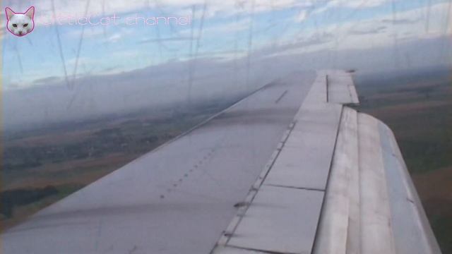 Boeing 737-200 Landing At Charleroi Airport