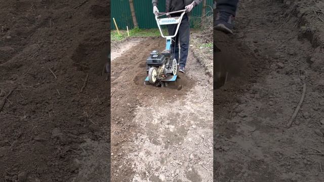 Подготовка почвы под виноградник. Я рабочими снял дёрн под место будущей теплицы, перекопал землю. смотреть онлайн