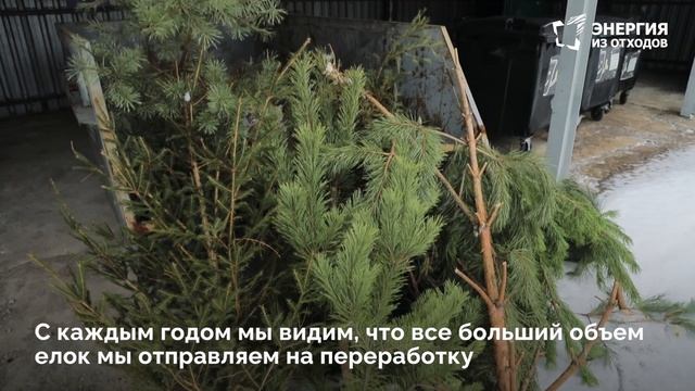 230118 Ёлки утилизация Кашира смотреть онлайн