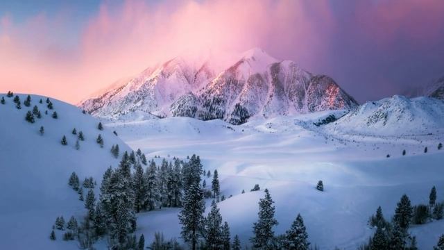 ЖИЗНЬ НА НОВОЙ ЗЕМЛЕ (ВЛИЯНИЕ ЧЕЛОВЕКА НА ИЗМЕНЕНИЕ КЛИМАТА ЗЕМЛИ) смотреть онлайн