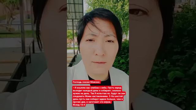 Господь сказал Моисею:– Я осыплю вас хлебом с неба. Пусть народ выходит каждый день и собирает. смотреть онлайн