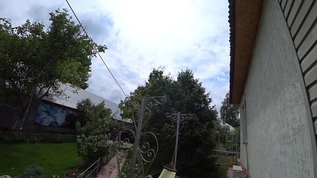 Что такое "пасынки" на томатах? Помидоры. Что случилось с парником? Горе-не беда. Влог. смотреть онлайн