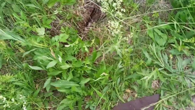 *12* Металлокоп. смотреть онлайн