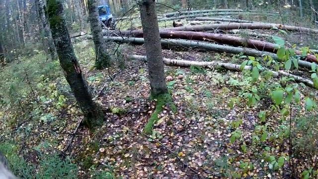 ЗАЕЗЖАЕМ В НОВУЮ ДЕЛЯНУ, НАЧАЛО ПОЛОЖЕНО смотреть онлайн