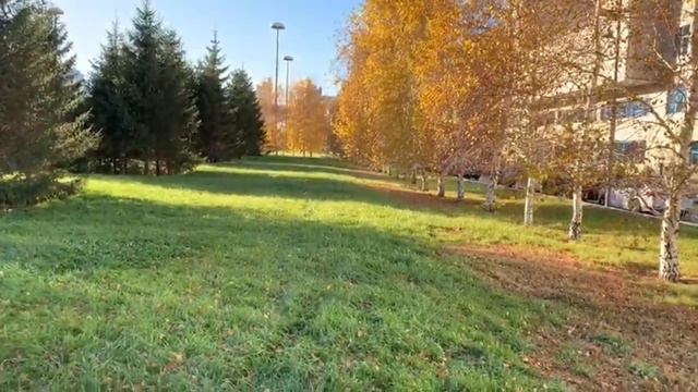 МАДИНА, С ДНЕМ РОЖДЕНИЯ! смотреть онлайн