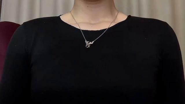 Серебряное колье Пегас - Cava.cool (Сава.кул) смотреть онлайн