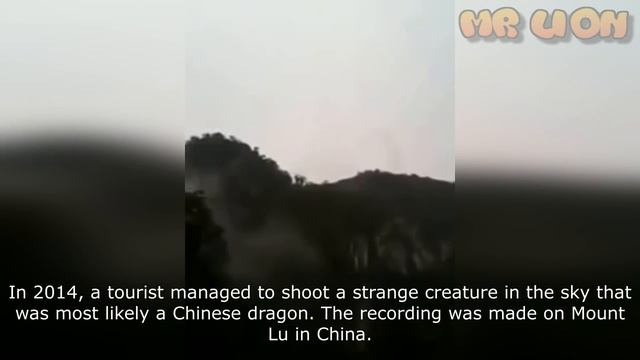 5 Chinese Dragon Caught On Camera & Spotted In Real Life