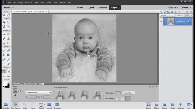 DANSK. Farve foto til sort hvid foto. Photoshop elements 15 смотреть онлайн