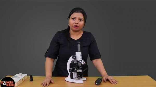 Microscope Parts and Functions | How to Use a Microscope
