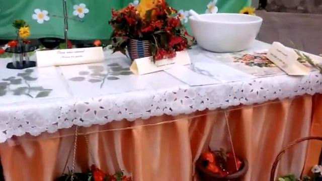 Выставка цветов в городе Оренбурге на 28.08.15.)) смотреть онлайн