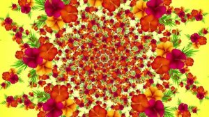 Футаж Цветочный калейдоскоп Красивый фон для монтажа