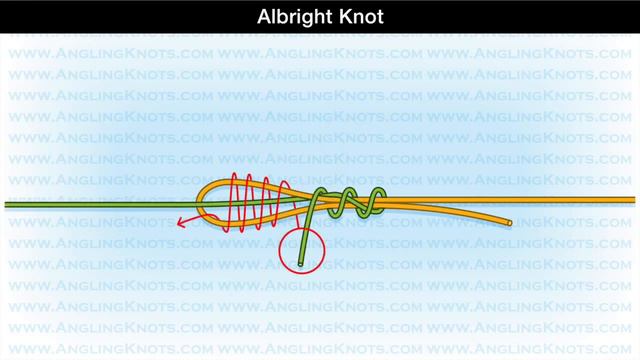 How to tie the Albright Knot смотреть онлайн